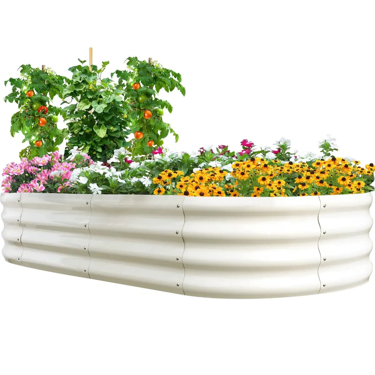6' x 3' x 1' Oval Galvanized Raised Garden Bed Beige