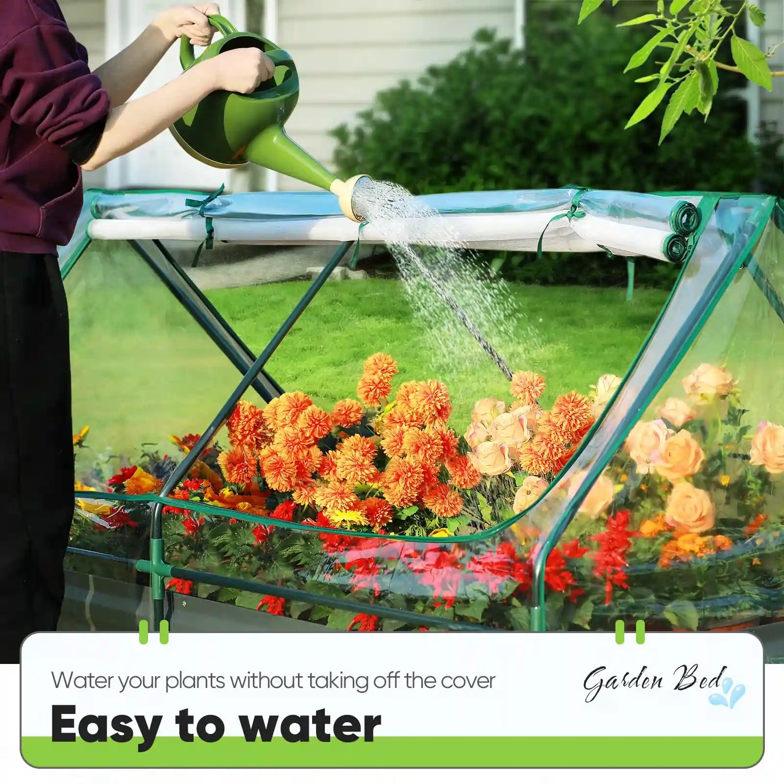 Easy to water#color_clear