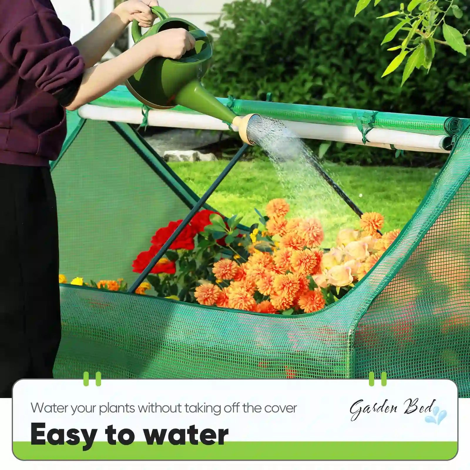 Easy to water#color_green