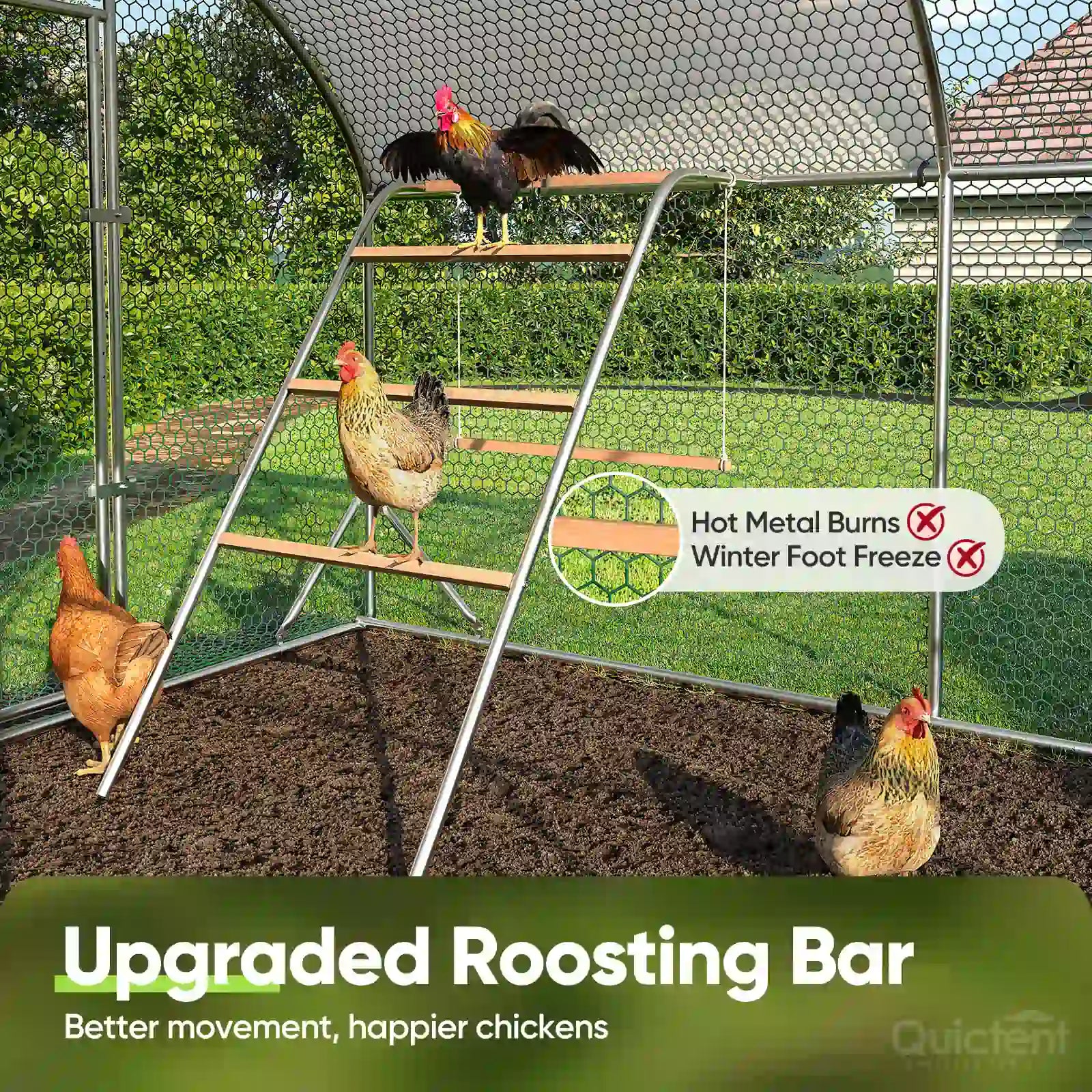 Built-In Roosting Ladder & Swing Set#size_24x9FT with Ladder+Swing