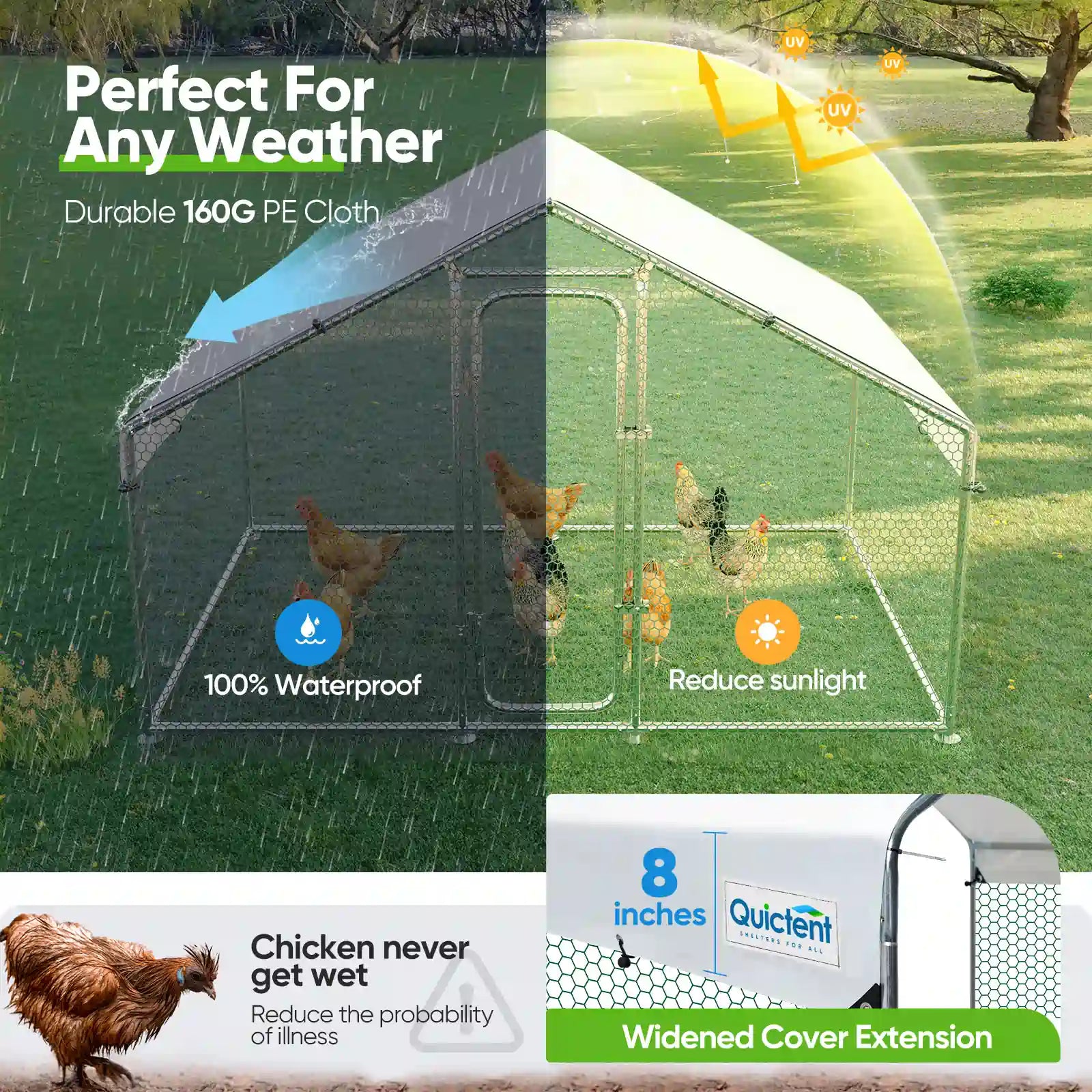 160g PE Cloth#size_6.5x9FT WireMesh-No ladder