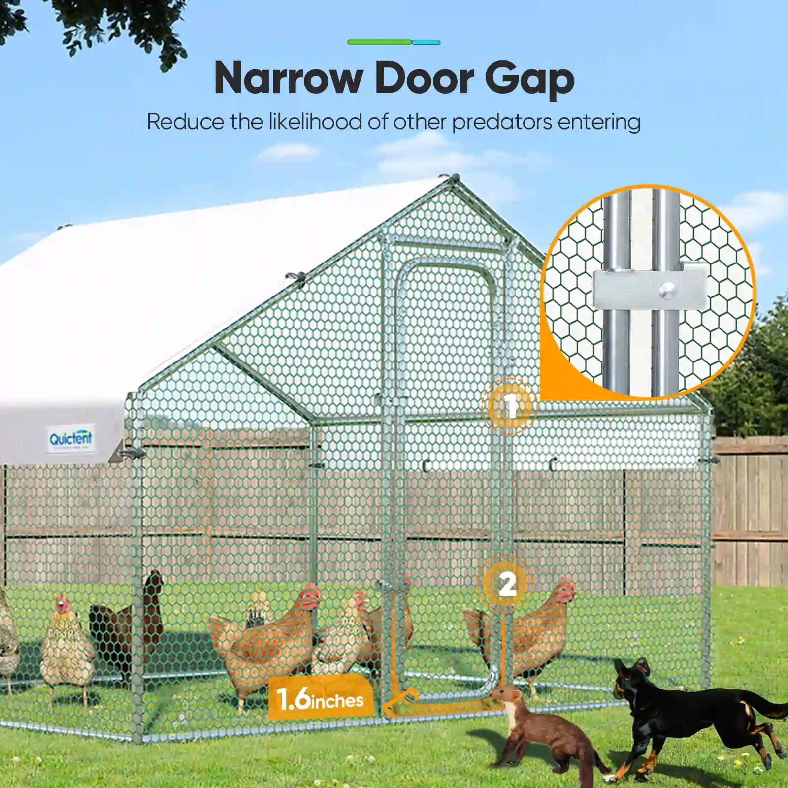 a safegaurd for various poultry#size_6.5x9FT WireMesh-No ladder