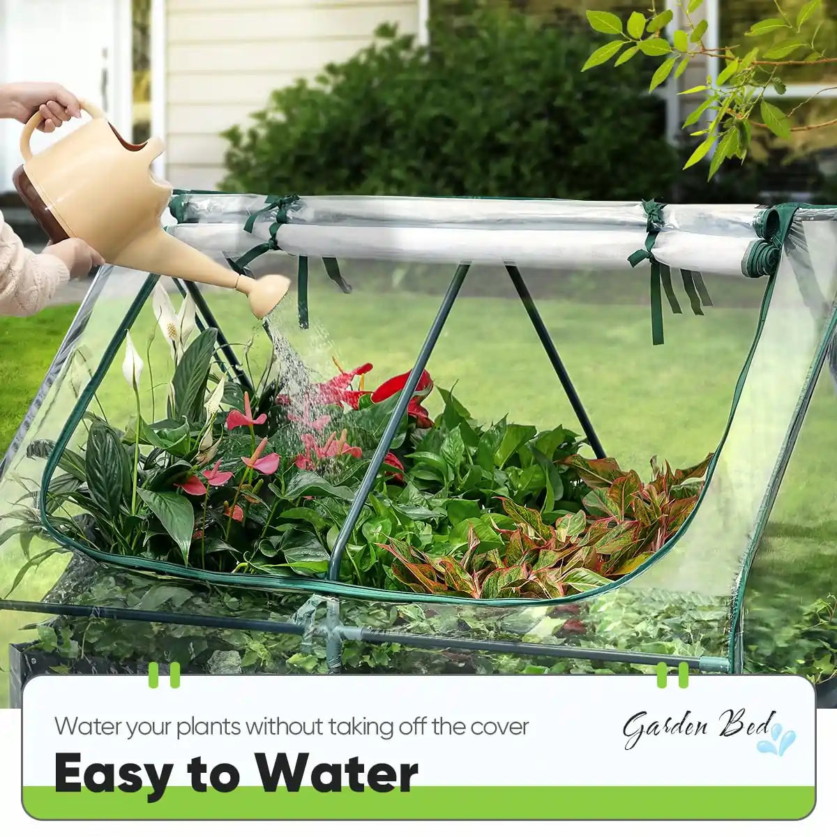 Easy to water#color_clear