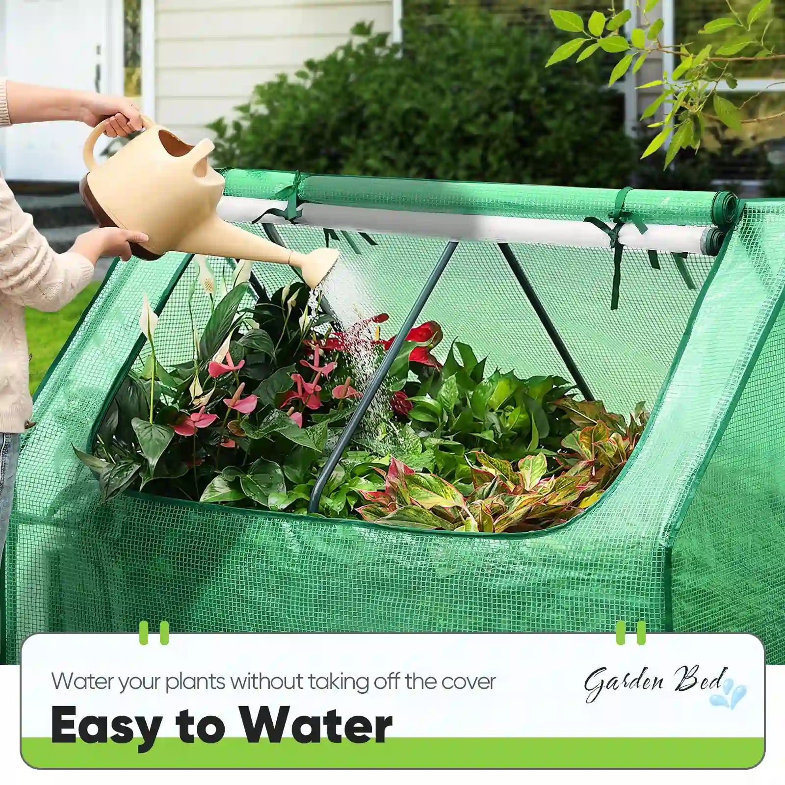 Easy to water#color_green