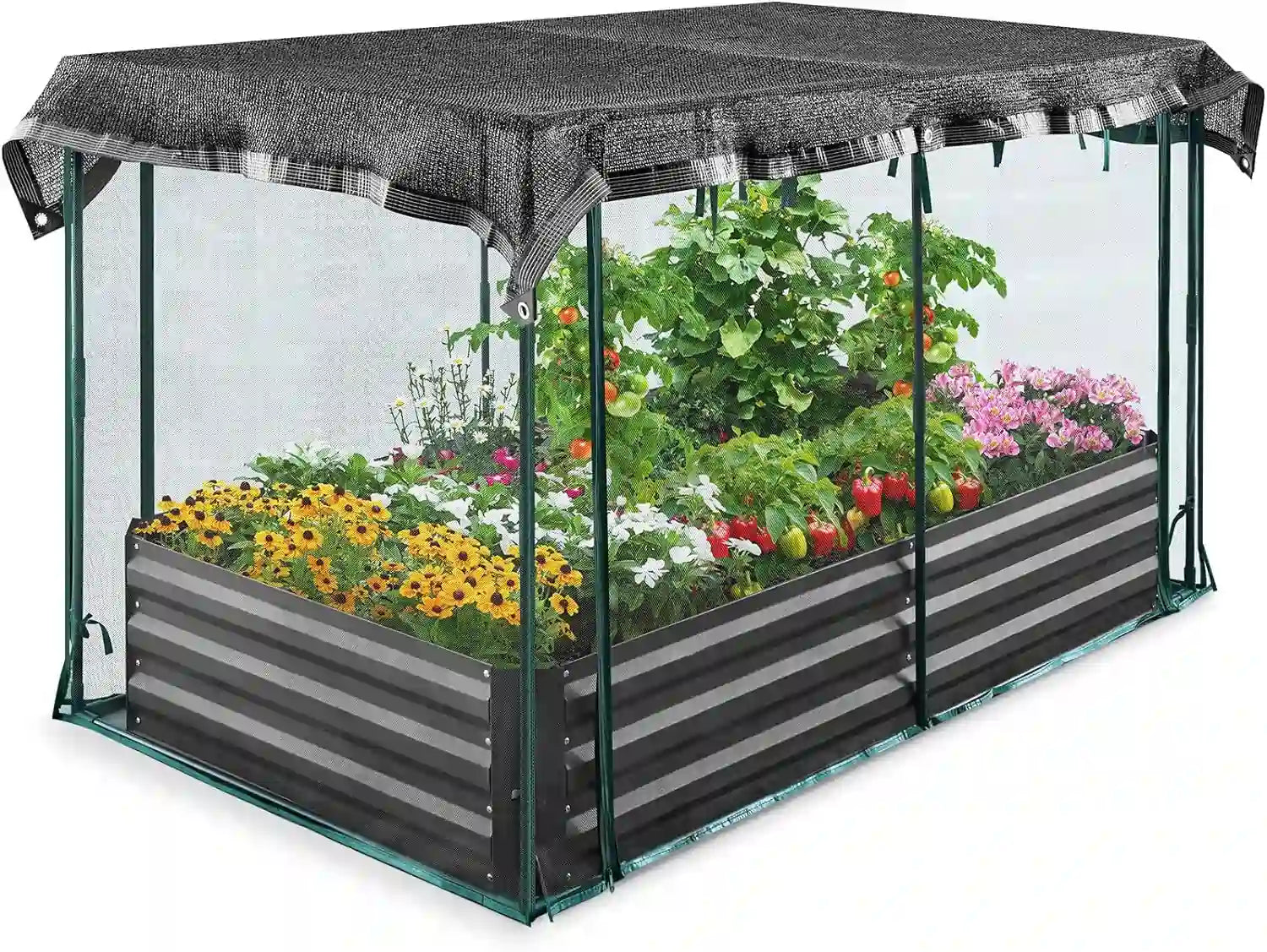 Galvanized Raised Garden Bed with Net 6x3x1FT#size_6x3x1ft