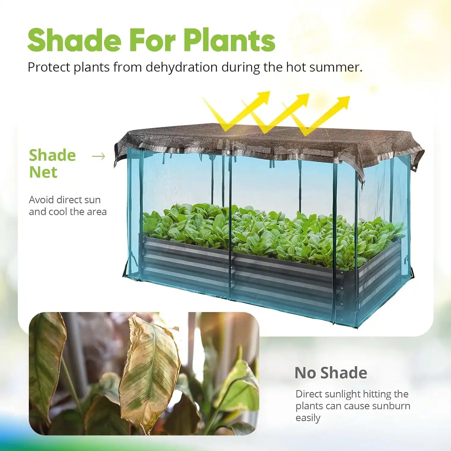 Shade net for plants#size_6x3x1ft
