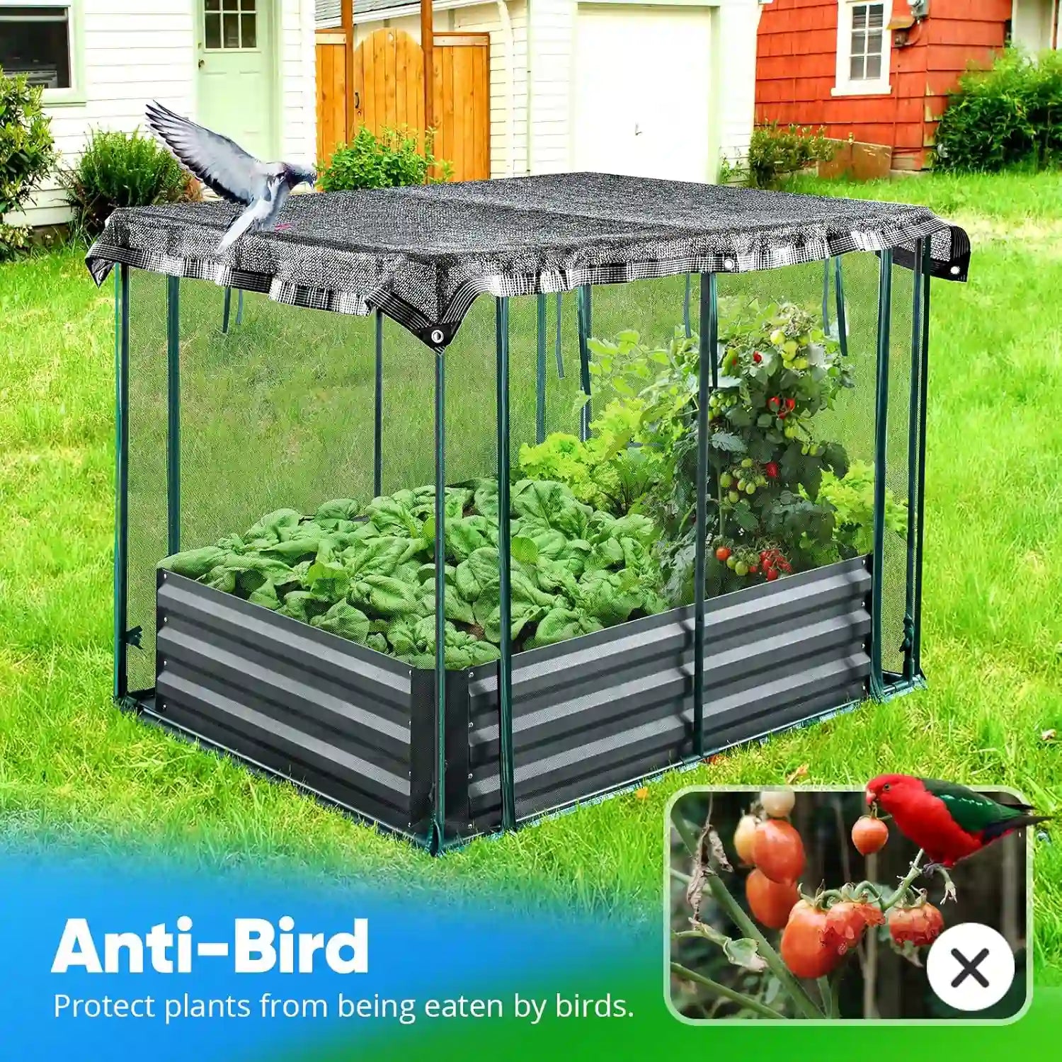 Anti-bird#size_4x3x1ft
