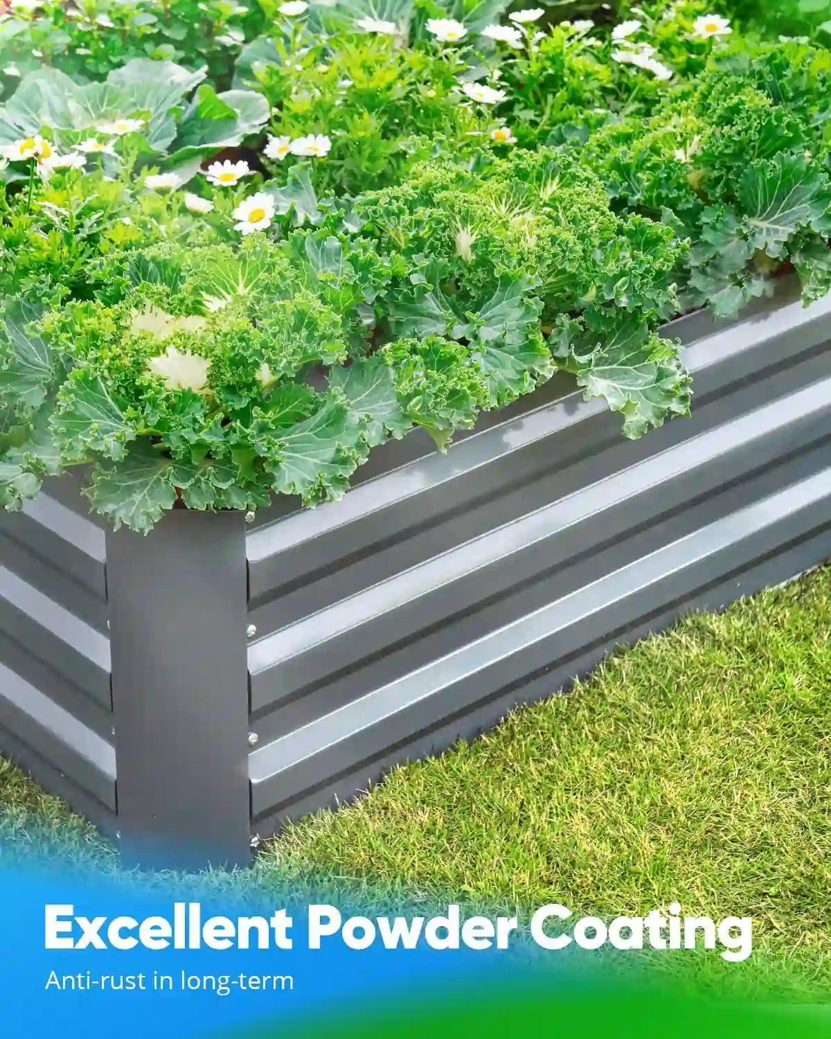 Excellent powder coating#size_4x3x1ft