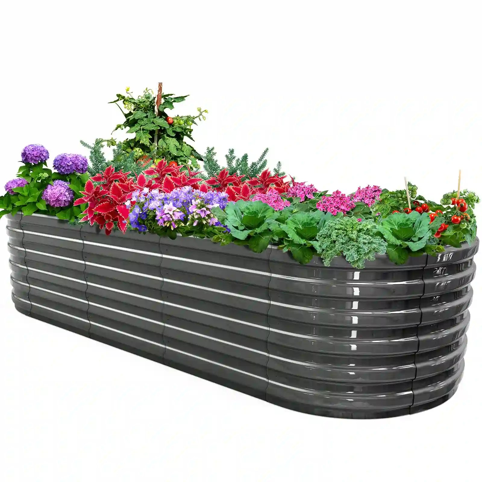 KING BIRD Screwless Raised Garden Bed 8x3x2ft#size_8x3x2ft