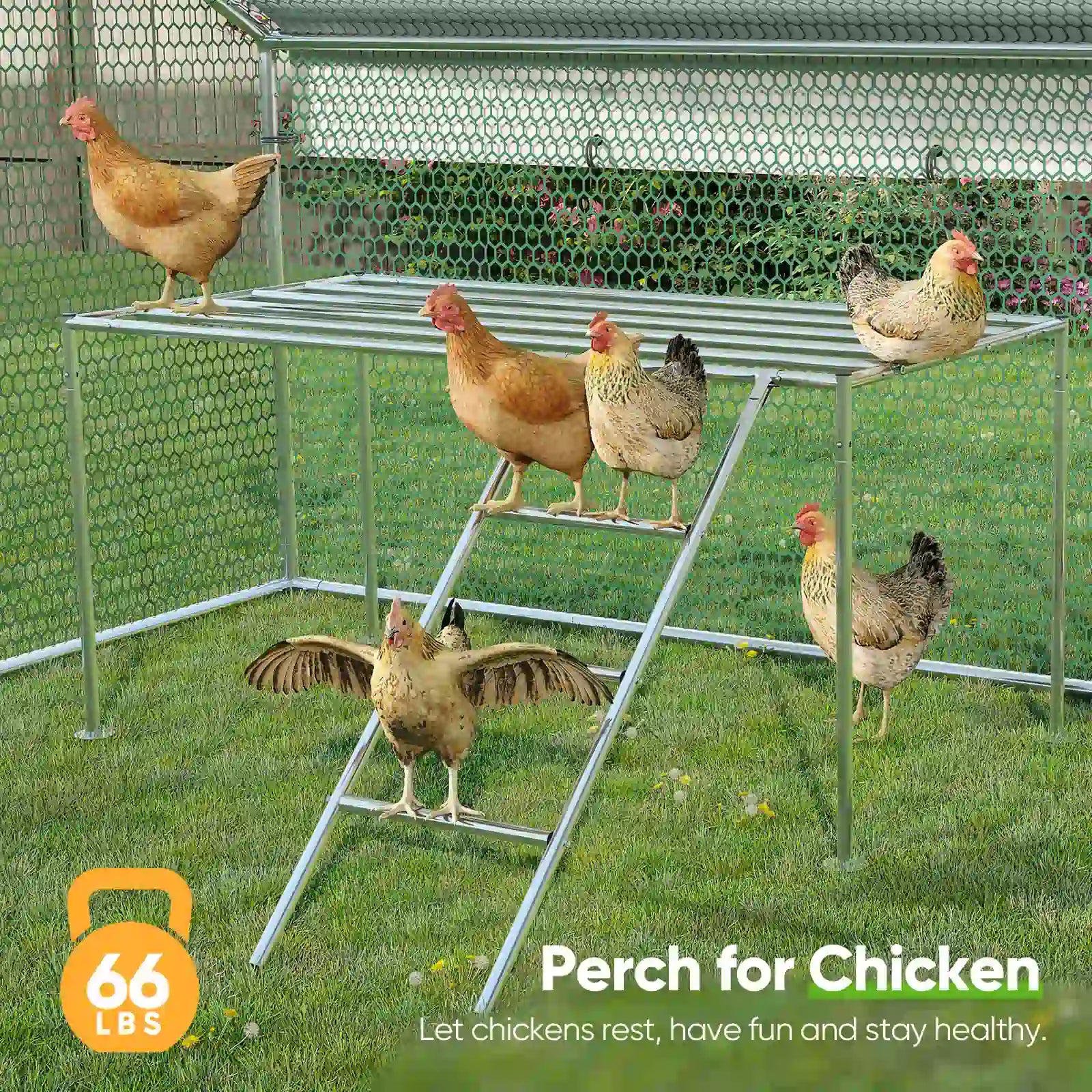 Practical Roosting Ladder#size_12x9FT WireMesh-with ladder