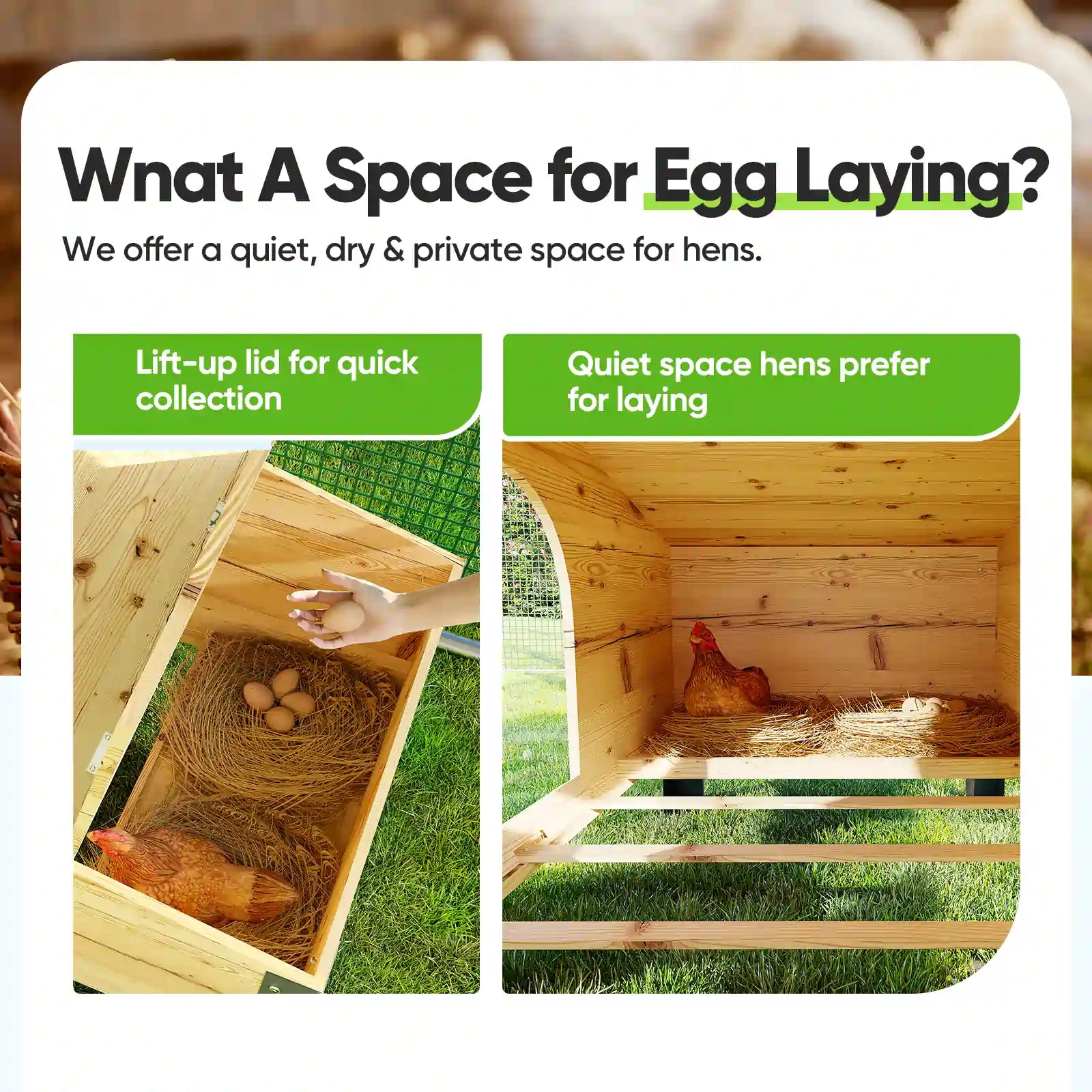 A Space for Egg Laying#size_12x9ft w/Extended Wire+NestBox
