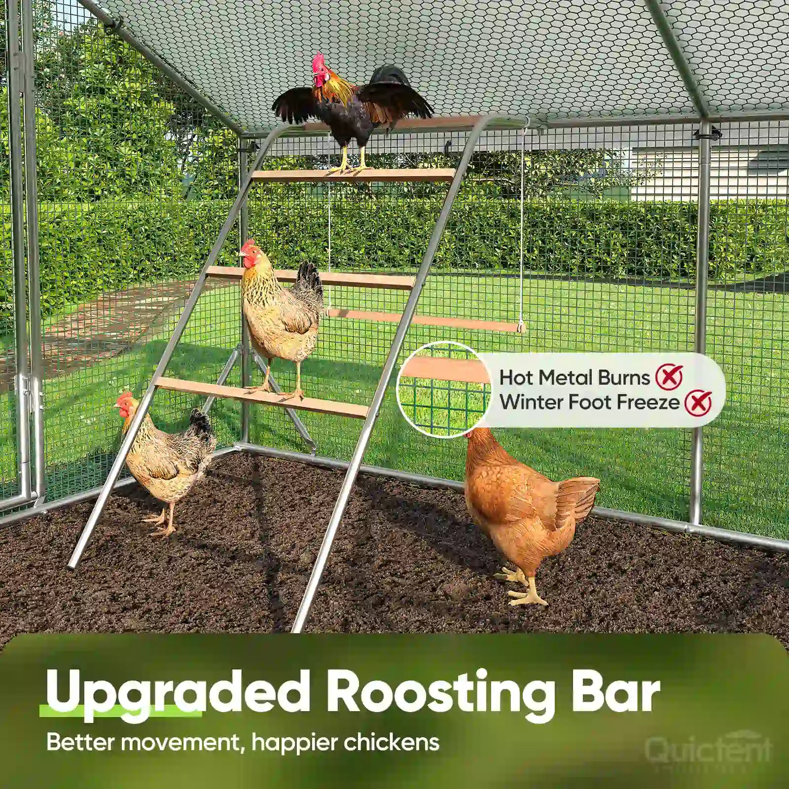 Upgraded roosting bar#size_12x9ft w/Extended Wire+Roosting Bar