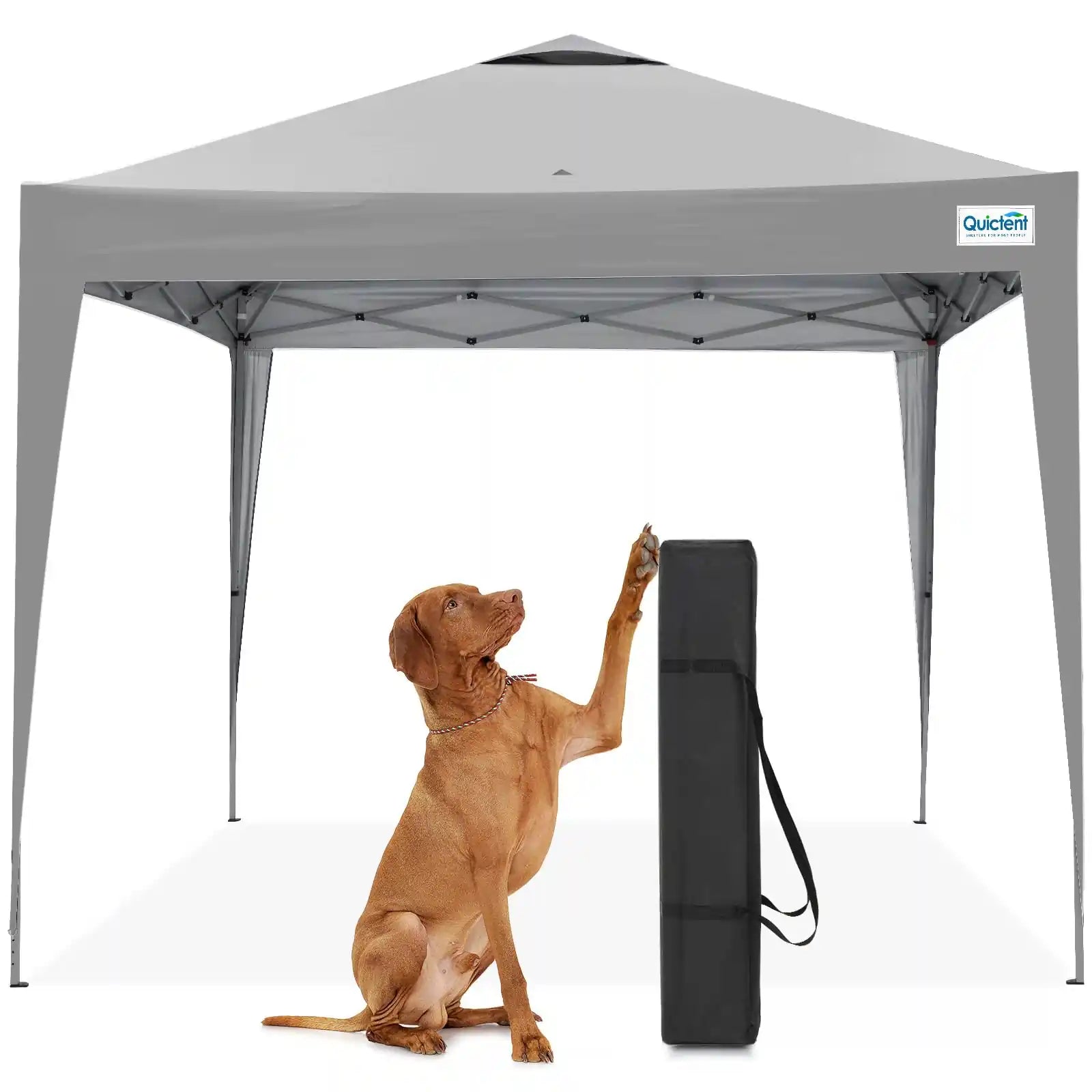 Quictent 10x10 Pop Up Canopy Gray#color_gray