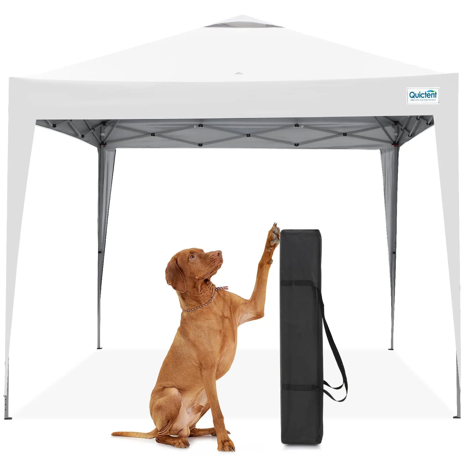 White 10x10 Pop Up Canopy Tent#color_white