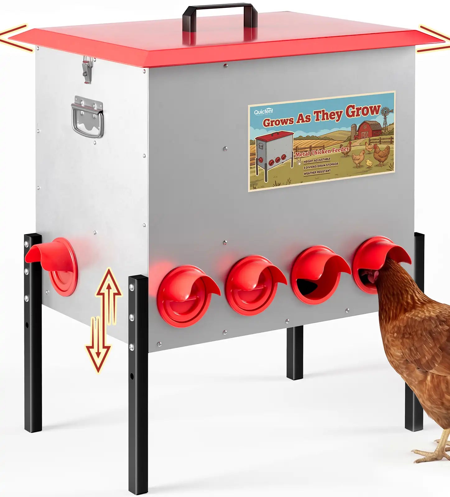 A galvanized steel chicken feeder#size_100-140 lbs