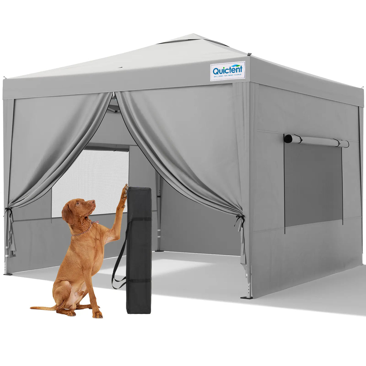 Quictent 10x10 Pop Up Canopy Tent with 4 Sidewalls#style_Gray w/ 4 Sidewalls