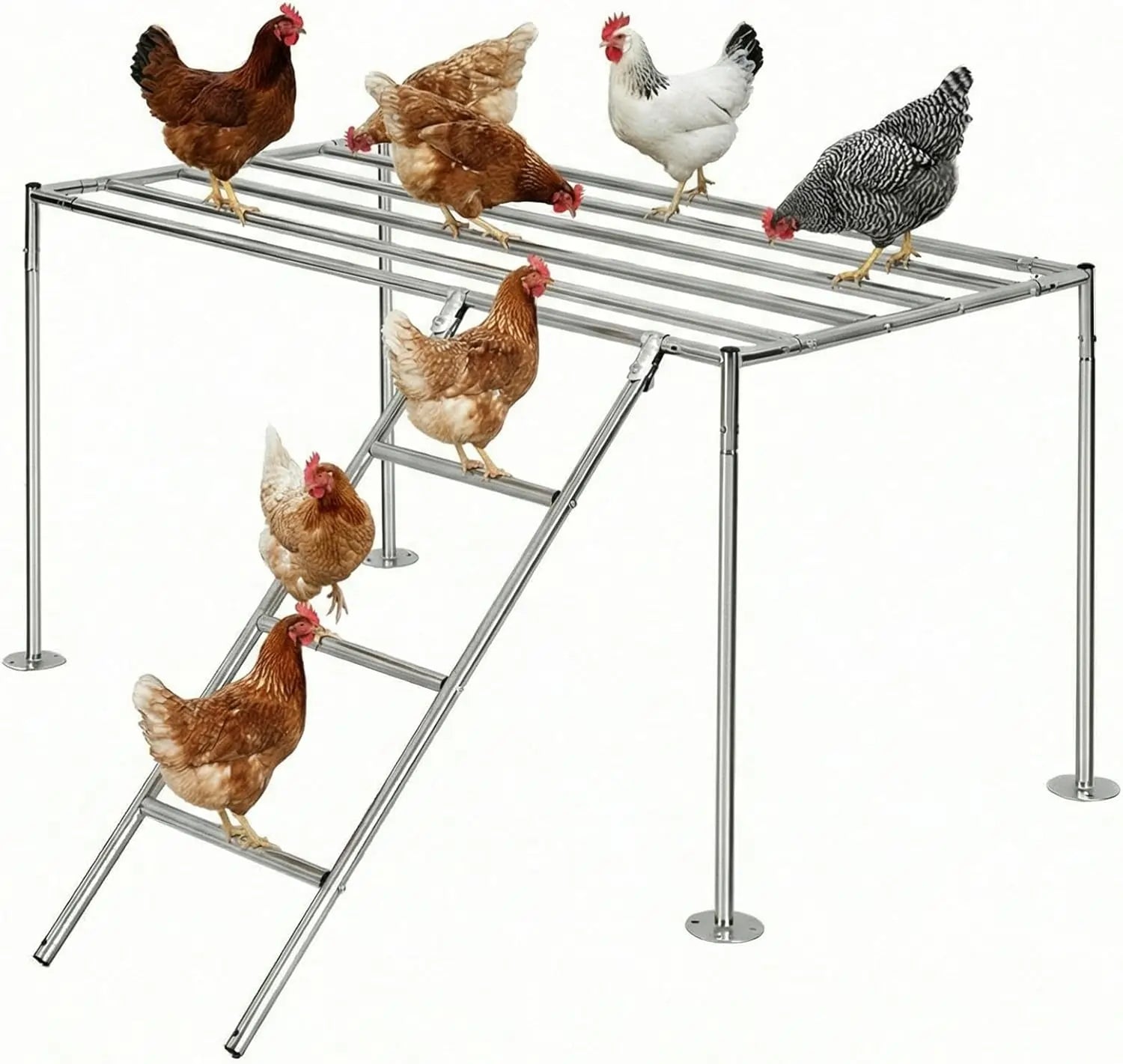 Metal Chicken Perch Freestanding Platform