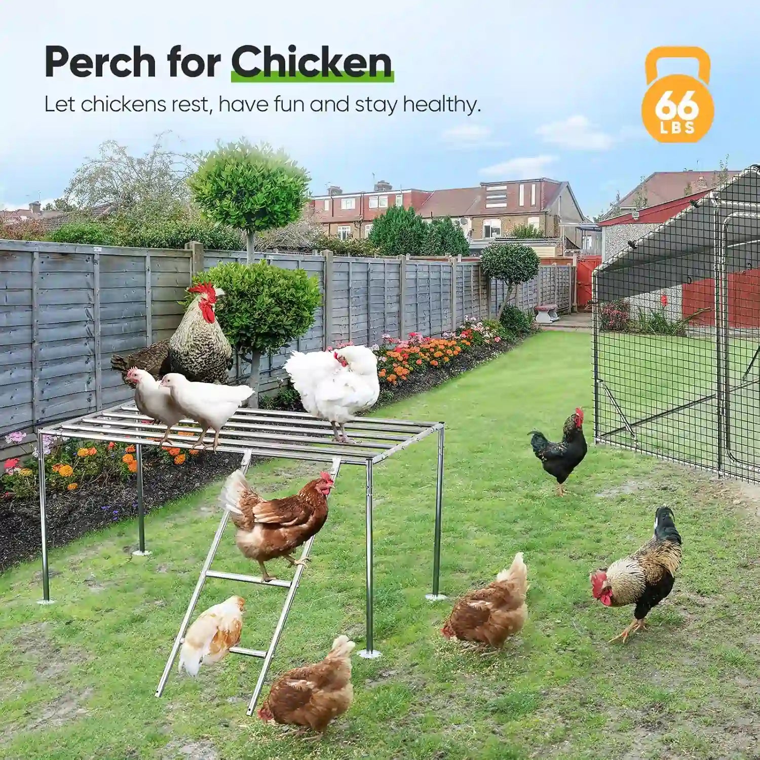 Heavy Duty Roosting Bar for Walk-in Chicken Run#size_Chicken Perch