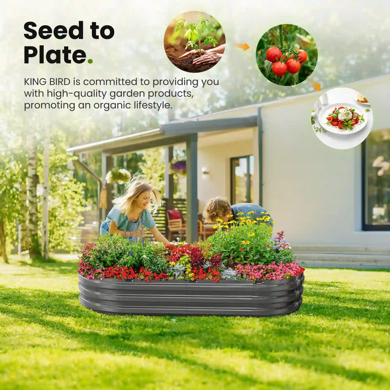 KING BIRD Screwless Dark Grey Raised Garden Bed 6x3x1ft seed to plate#size_6x3x1ft (2pcs)