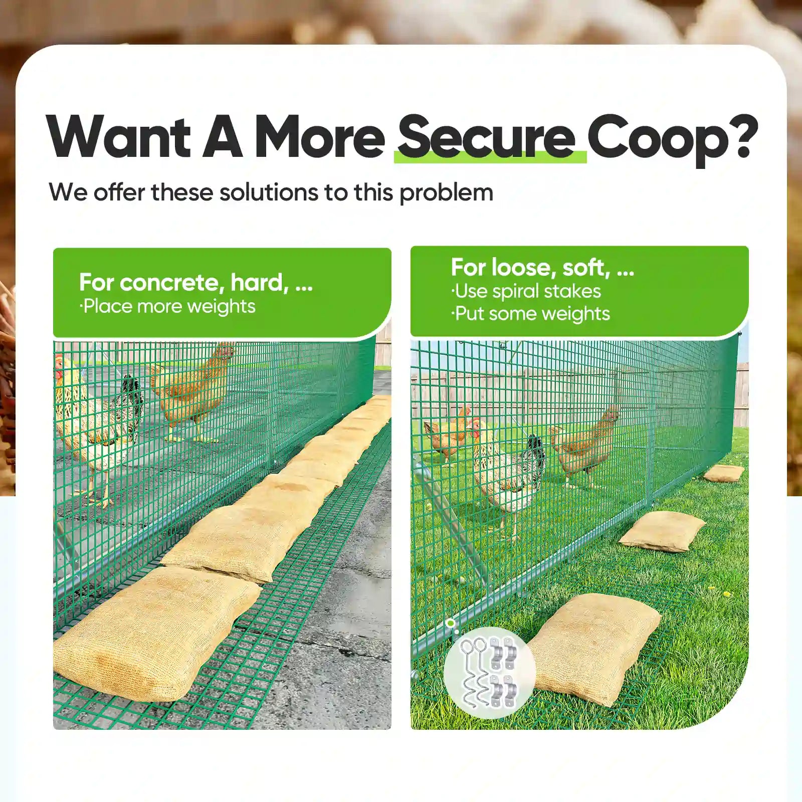 chicken coop secure solutions#size_12x9ft w/Extended Wire+Roost Poles