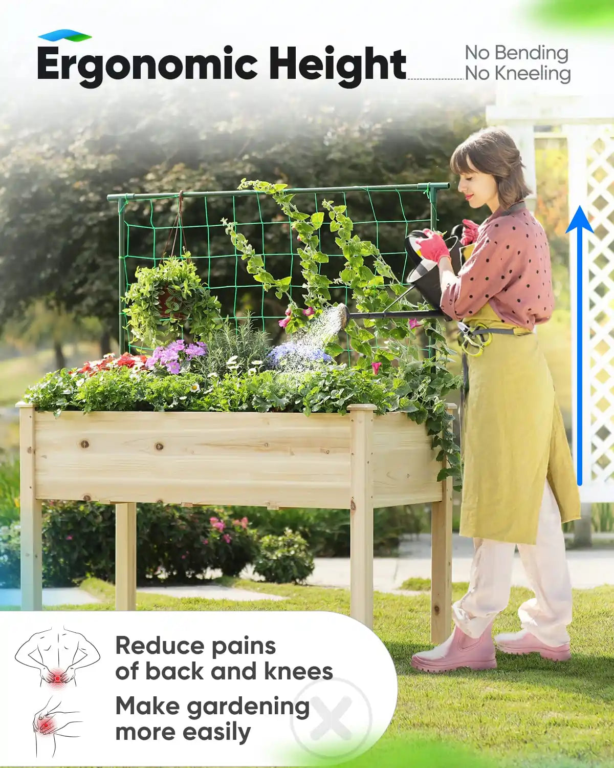 Ergonomic height
