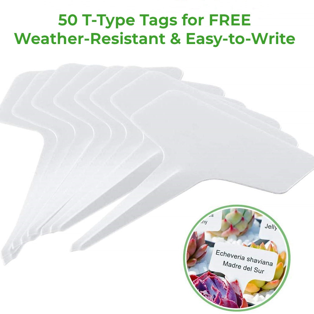 50 T-Type Tags for FREE#color_clear