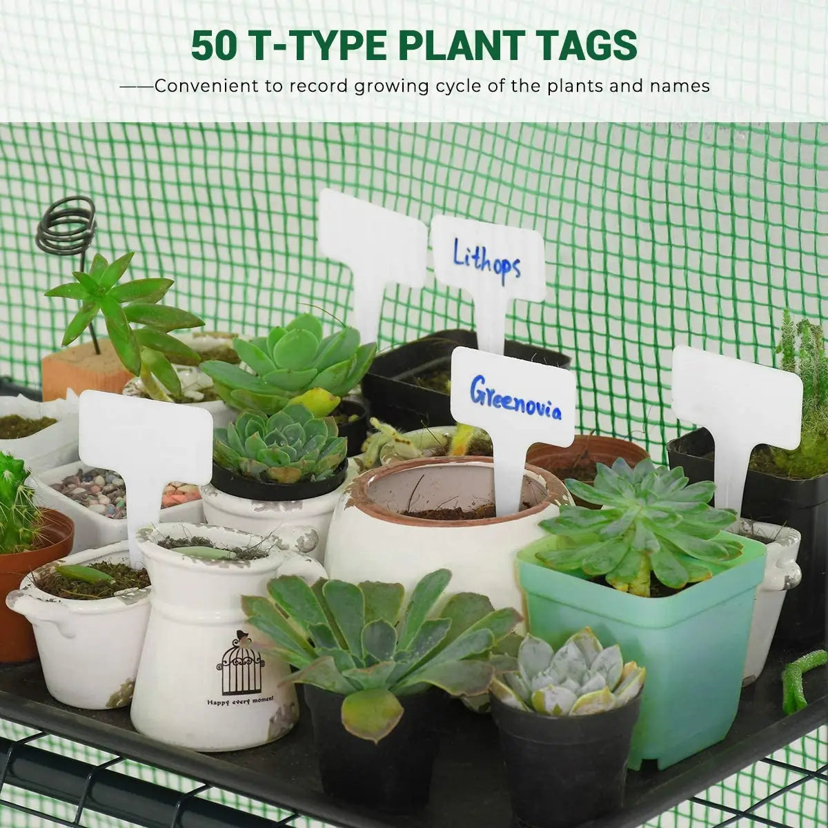 50 T-Type plant tags#color_green