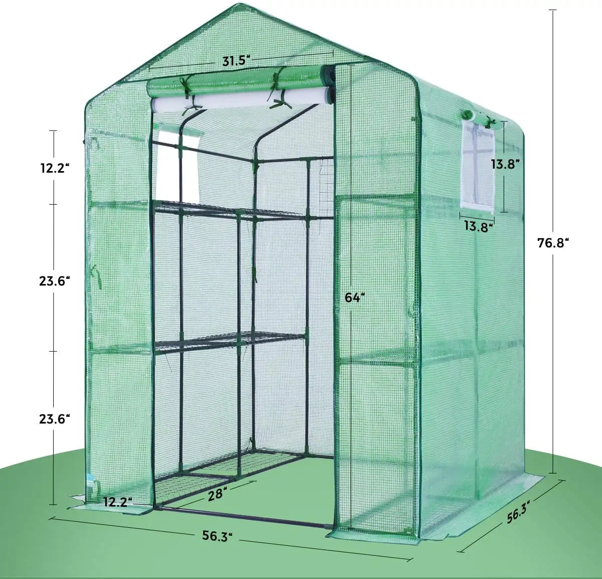 56x56x77 Walk-in Greenhouse Size#color_green