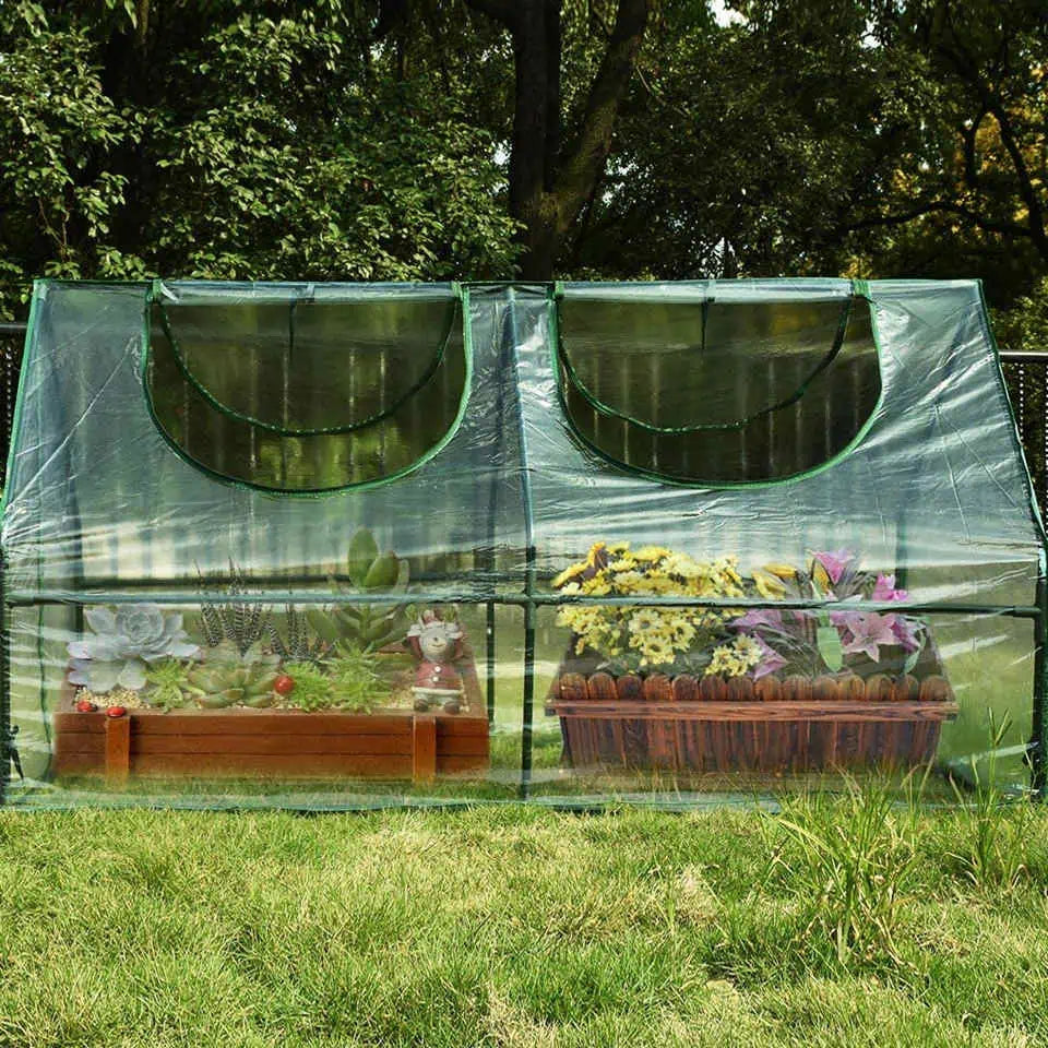71 x 36 x 36 mini Greenhouse with plants