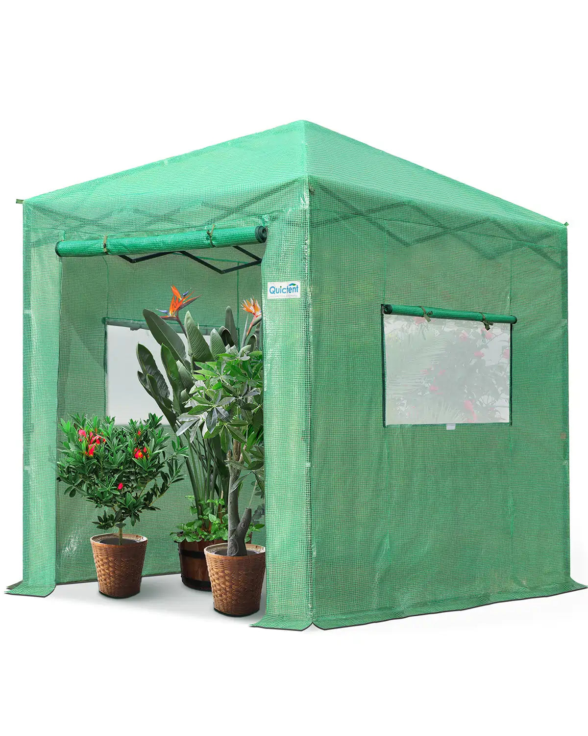 8' x 6' Walk-in Greenhouse#color_green