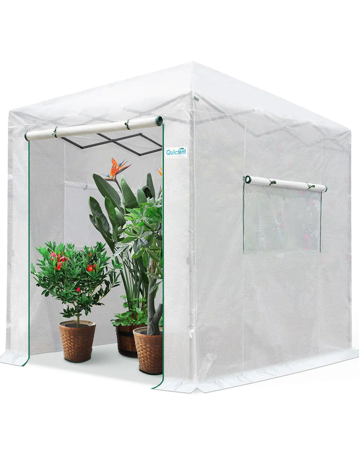 8' x 6' Walk-in Greenhouse - White#color_white