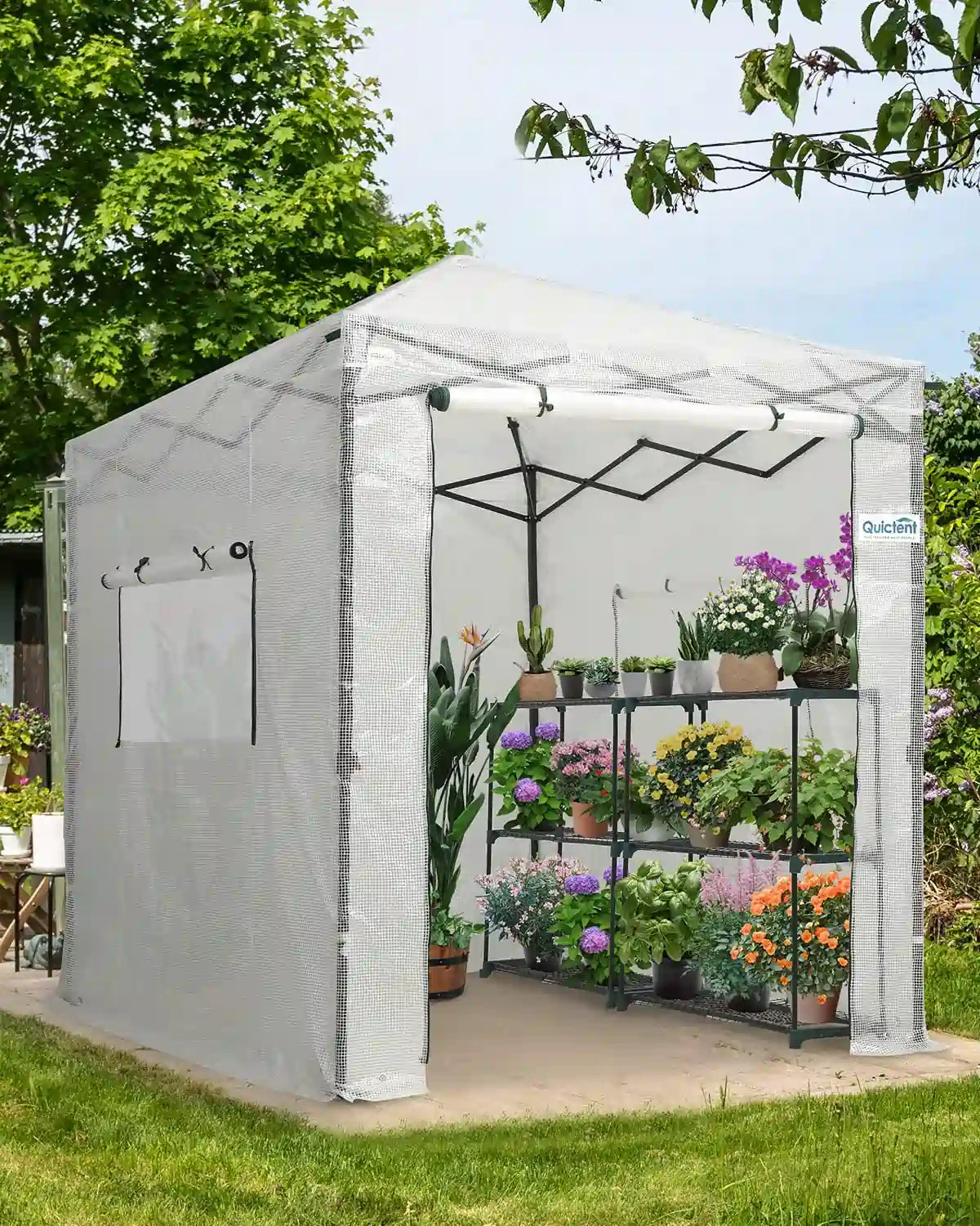 white pop up greenhouse#color_white