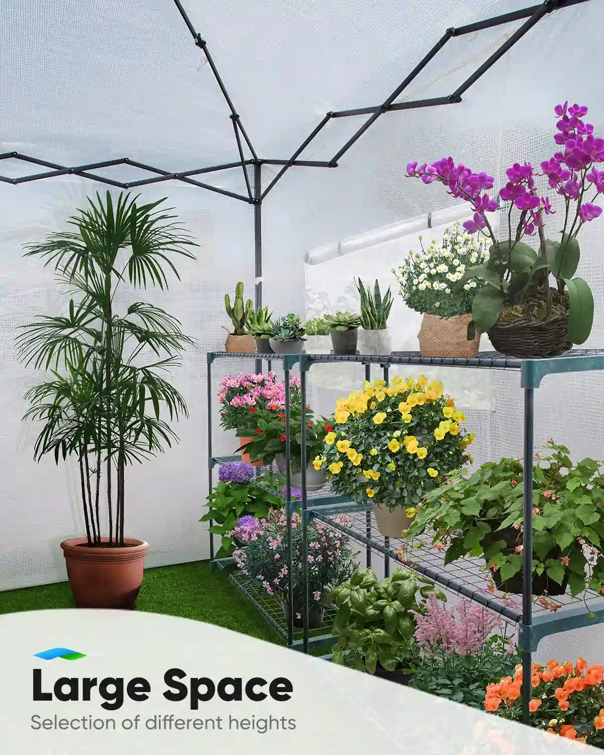 large greenhouse space#color_white