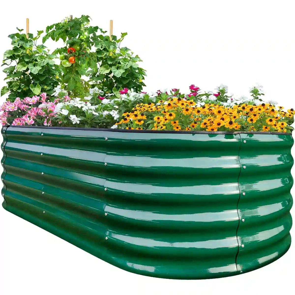 green garden bed#color_dark green
