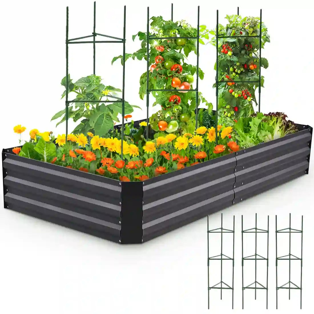 garden bec and plant support#size_6x3x1ft
