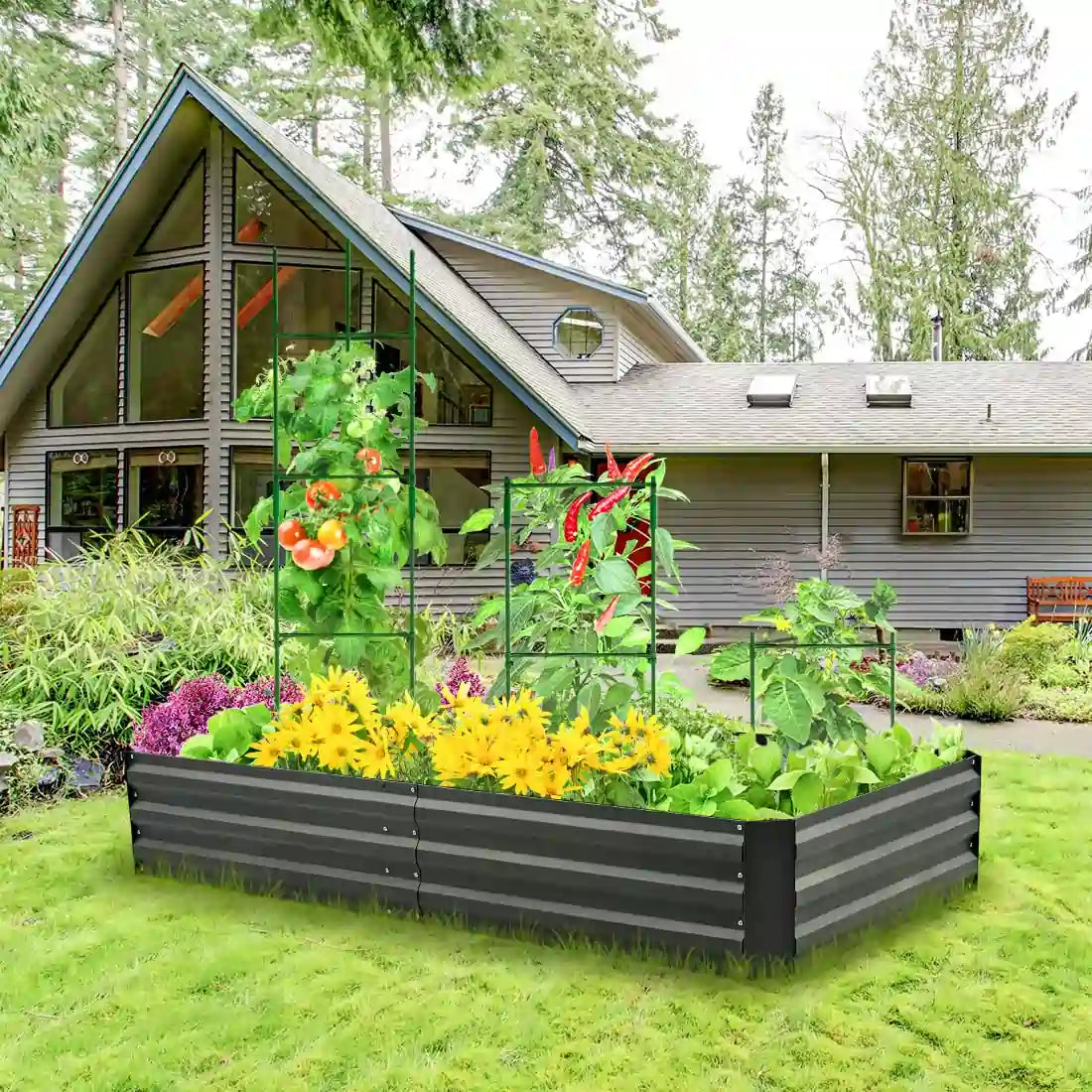 backyard garden bed#size_6x3x1ft