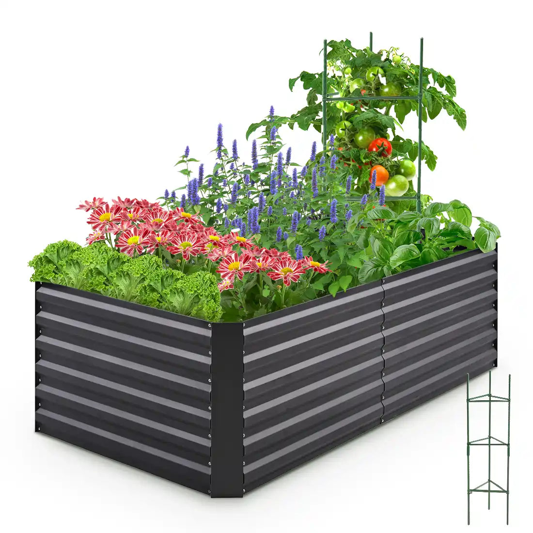 6x3x2 dark grey garden bed#size_6x3x2ft