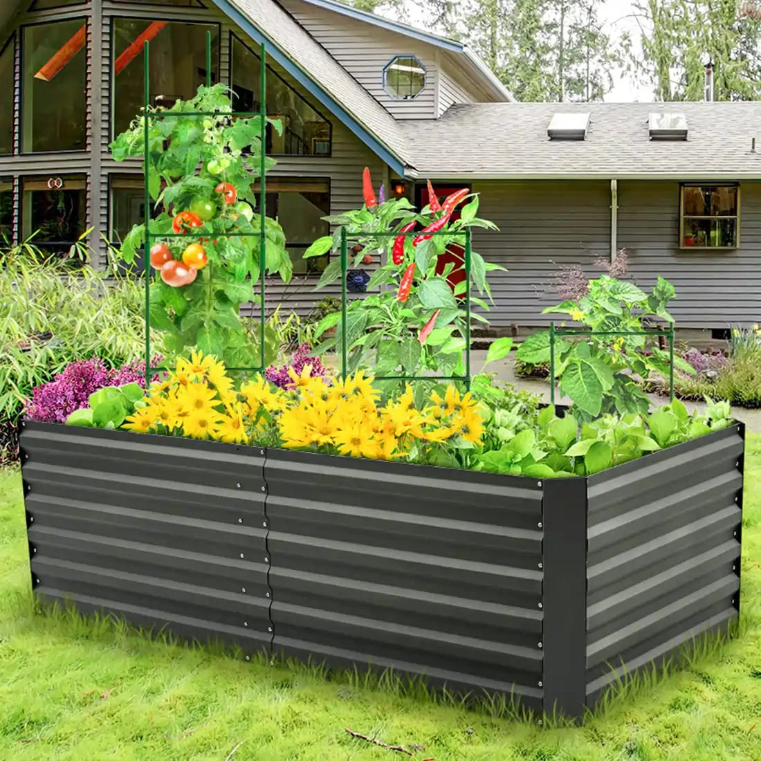 6x3x2 garden bed outdoor#size_6x3x2ft