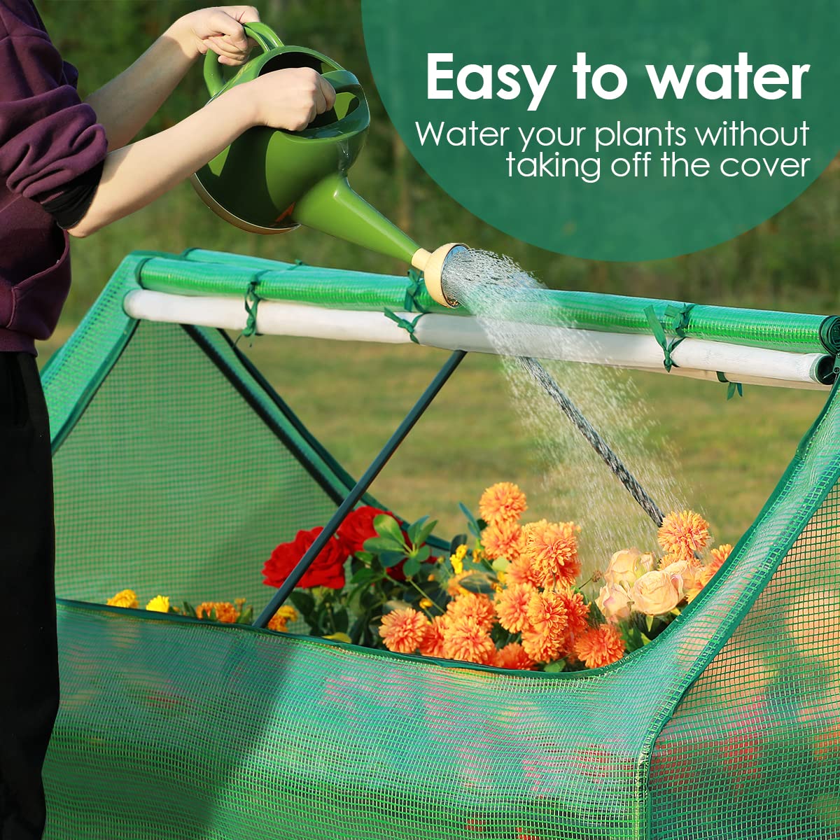 easy to water#color_green