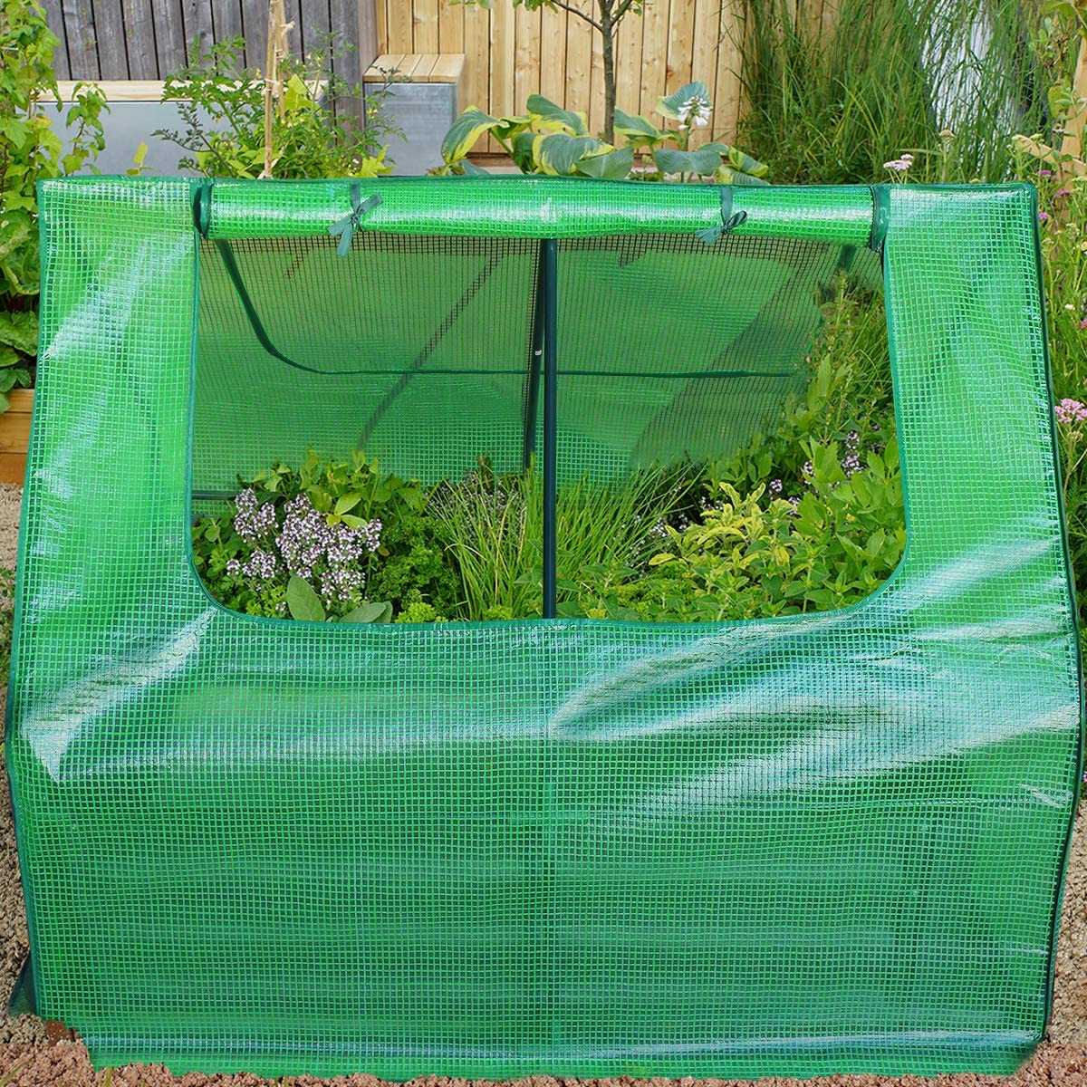 garden bed with plants