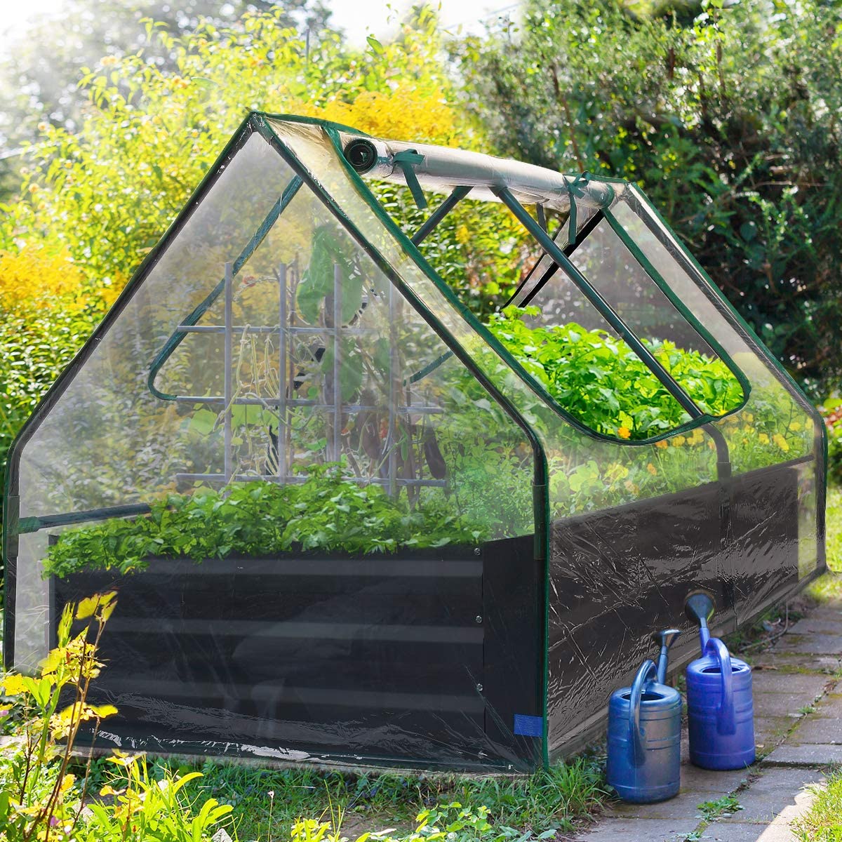 clear garden bed in backyard