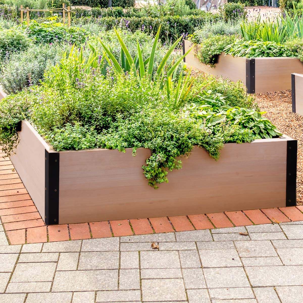 Garden Bed