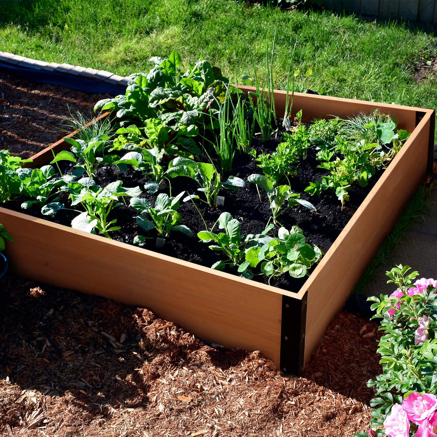 Garden Bed