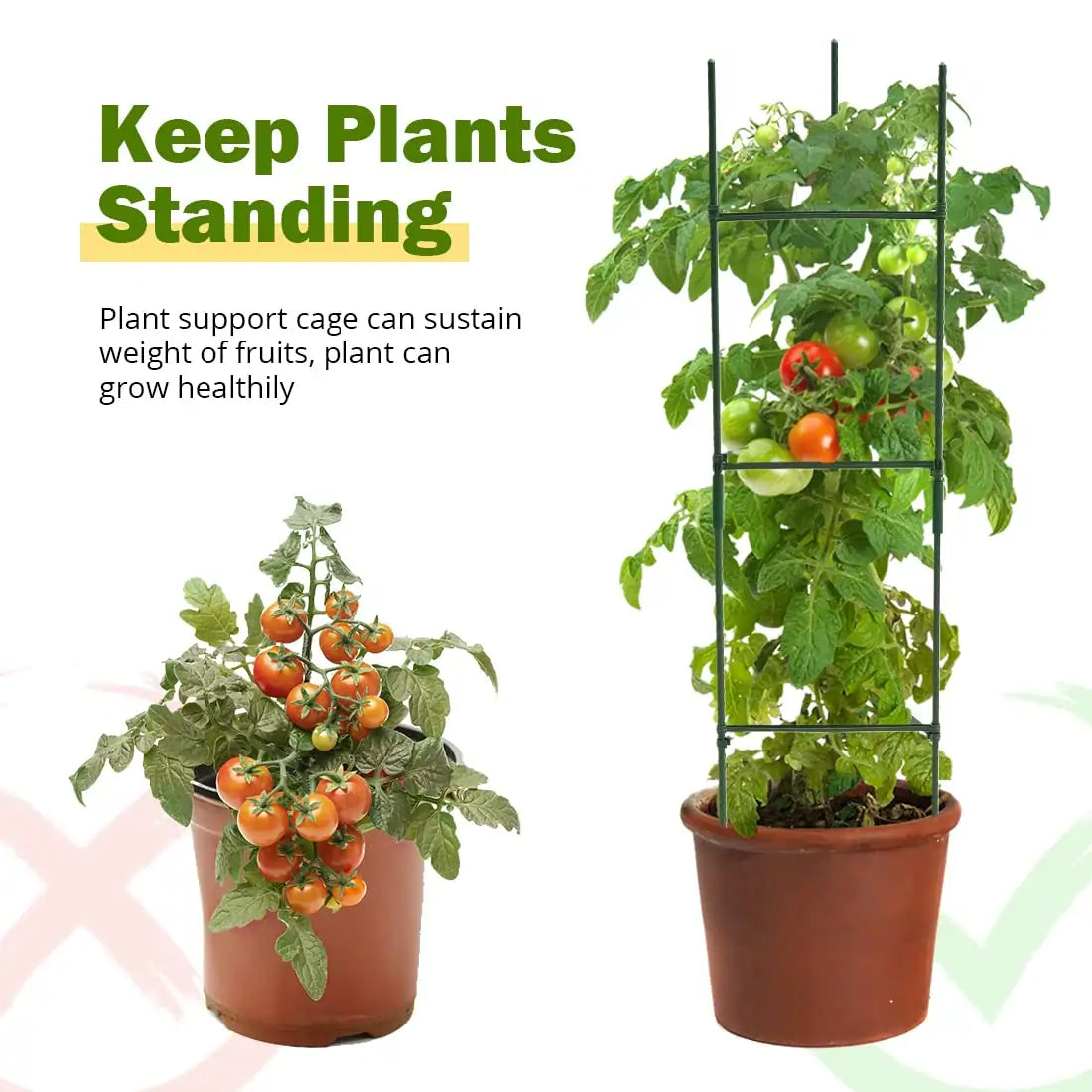 plant support cage for garden bed#size_4x3x1ft