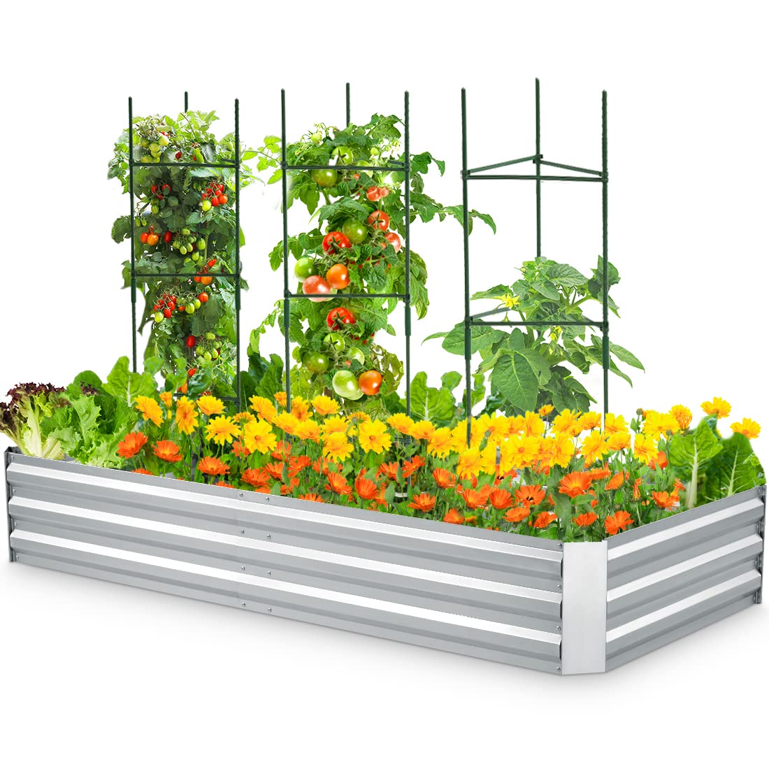 6x3x1 silver garden bed#size_6x3x1ft