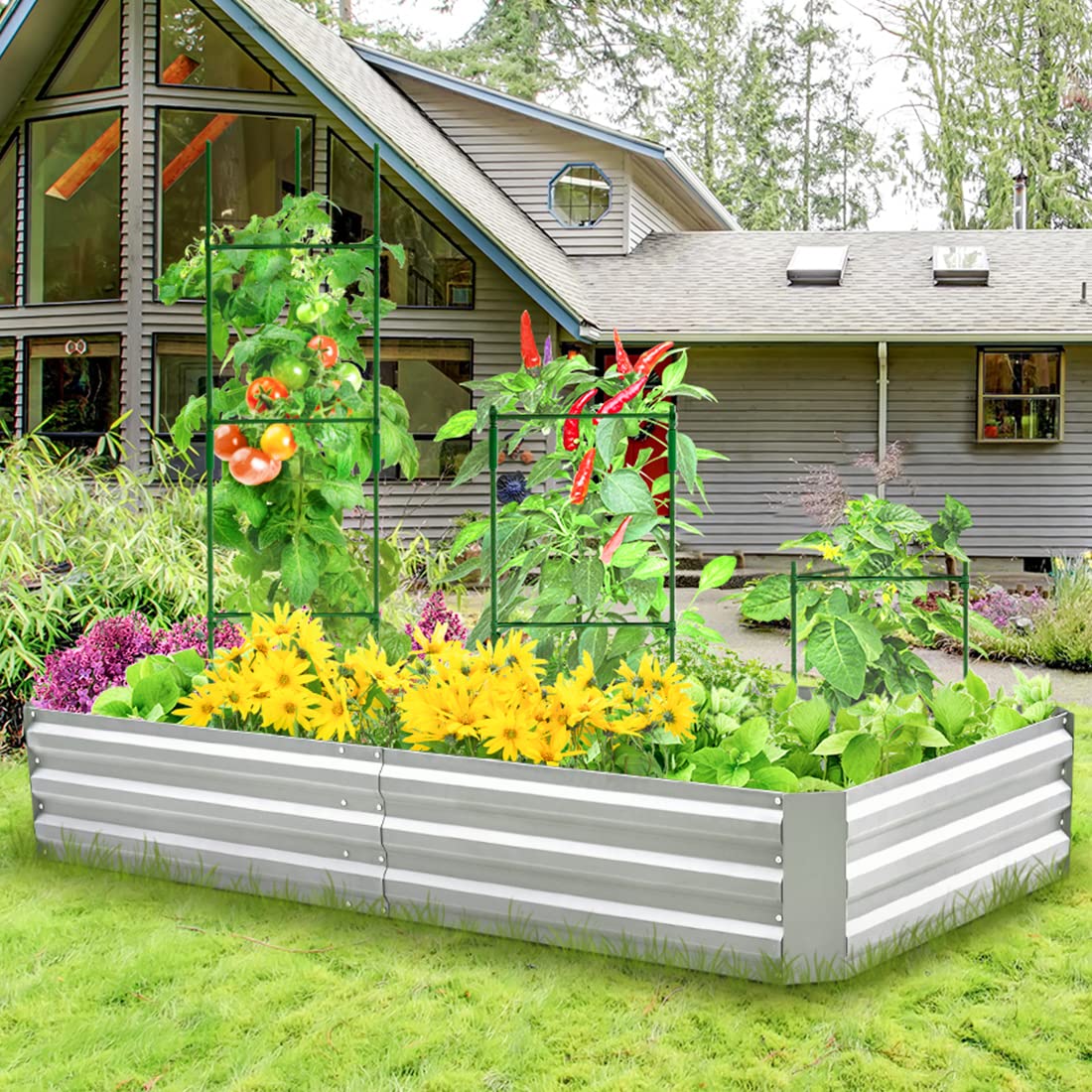 6x3x1 silver garden bed outdoor#size_6x3x1ft