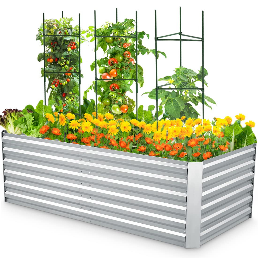 6x3x2 silver garden bed#size_6x3x2ft