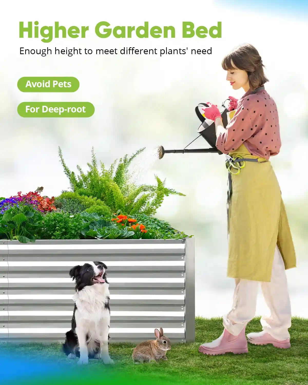 avoid pets#color_silver