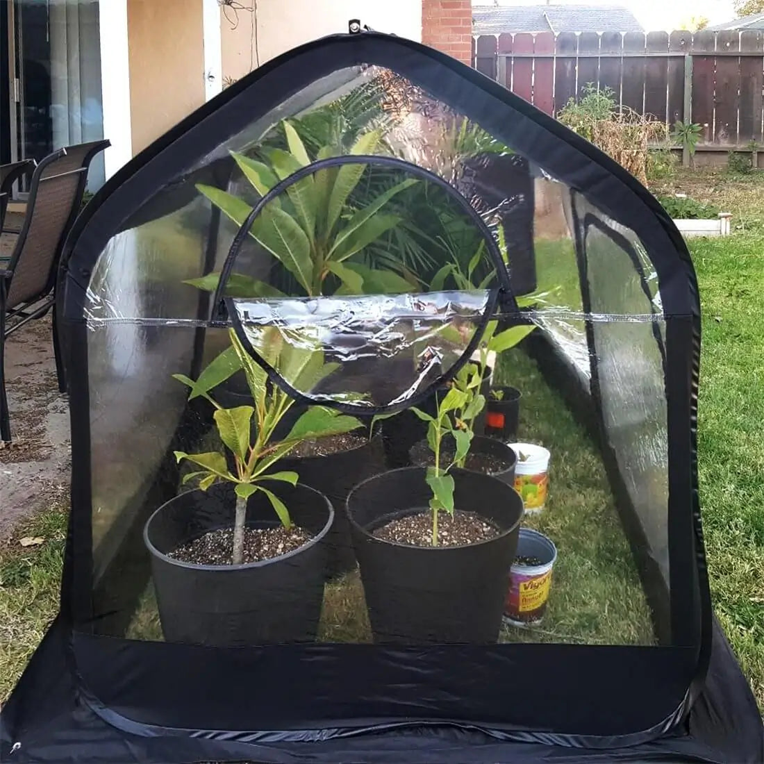 black backyard greenhouse#color_black