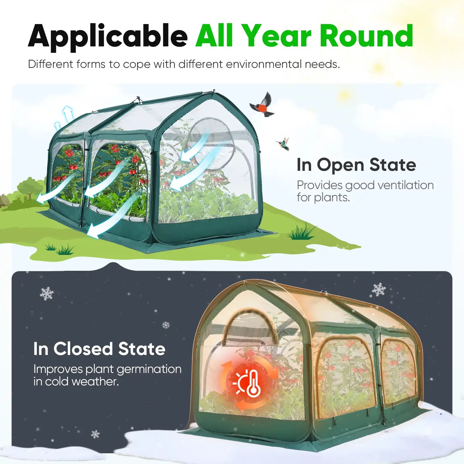 strong small greenhouse#color_green
